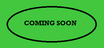 Raheja Mahalaxmi Studio Plan